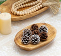 Decoratieve schaal LIO